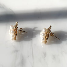Load image into Gallery viewer, Bundled Grape Earrings
