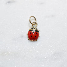 Load image into Gallery viewer, Ladybug Earring Charm

