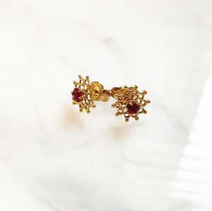 Red Stone Earring Studs
